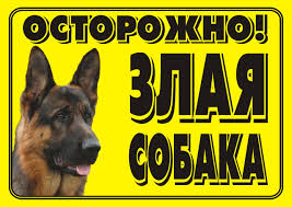 Табличка "Осторожно злая собака" 20*30см желтая 913321