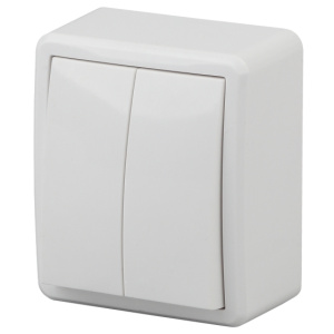 Выключатель двойной 11-12004-01 ЭРА Эксперт 250В белый 20788