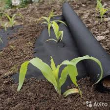 Агротекс М-60 черный (3,2*200м) 640м2/рул 87379