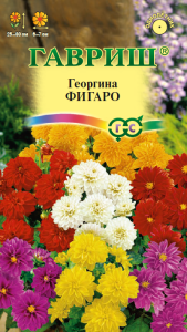 Георгина Фигаро смесь Гавриш/ЦВ 729474 69114