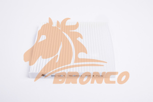 Салонный фильтр BRC-0319 BRONCO (AC-304)