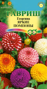 Георгина Яркие Помпоны 702905 Гавриш/ЦВ 69121