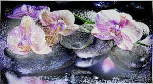 Панели ПВХ в ассортименте 602х1002 мм 28150