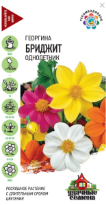 Георгина Бриджит смесь 734899 Гавриш/ЦВ 69091