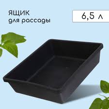 Ящик для рассады, 35×30×9 см, 6.5 л, пластик, чёрный 066557