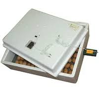 Инкубатор ИБ2НБ автоматический переворот 63 яйца 220ВТ/12В Х171531