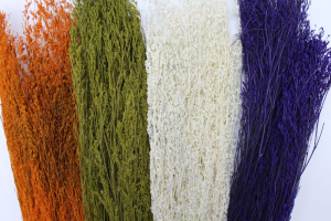 Сухоцвет декоративный (цена за пучок) в ассортименте Х010260