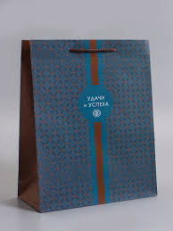 Пакет подарочный ламинированный «Статусный акцент», 26×12×32 см 066649