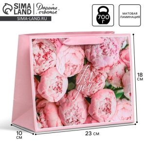 Пакет подарочный ламинированный, упаковка, «For you», MS 23×18×10 см (4725091) 1047273