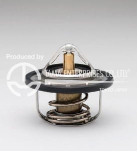 Термостат W54IA-85 ТАМА ТАМА-5