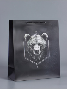 Пакет подарочный ламинированный «Мужской выбор», чёрный, 26×12×32 см 066656