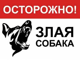 Табличка ЗЛАЯ СОБАКА в асоортименте 1052185