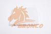 Салонный фильтр BRC-0319 BRONCO (AC-304) - купить во Владивостоке, фото товара