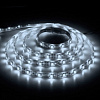 Лента светодиодная LS604 4.8W/m 60SMD 5m12V IP65 белый, белое основание, 6500К  5м/2835 27638 - купить во Владивостоке, фото товара