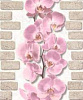 Обои виниловые Орхидея сирень 10107-85  0,53х10м 922176 в интернет-магазине ТК &quot;Новый уровень&quot;